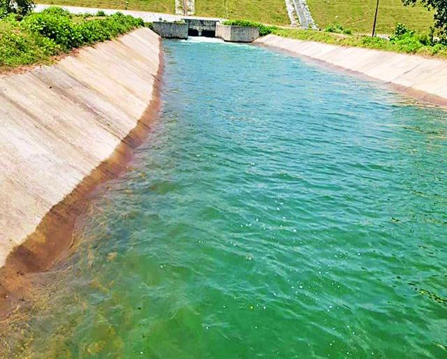 After all, the water of the Bawanthadi water reached to the fields | अखेर बावनथडीचे पाणी पोहचले शेतशिवारापर्यंत After all, the water of the Bawanthadi water reached to the fields | अखेर बावनथडीचे पाणी पोहचले शेतशिवारापर्यंत