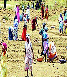 Instructions for investigation of RHO | रोहयोप्रकरणी खंड विकास अधिकाऱ्यांचे चौकशीचे निर्देश Instructions for investigation of RHO | रोहयोप्रकरणी खंड विकास अधिकाऱ्यांचे चौकशीचे निर्देश