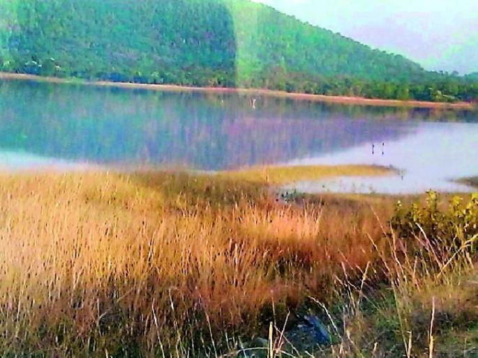Pangadi-Ledenzari area Biodiversity mine | पांगडी-लेडेंझरी परिसर जैवविविधतेची खाण Pangadi-Ledenzari area Biodiversity mine | पांगडी-लेडेंझरी परिसर जैवविविधतेची खाण