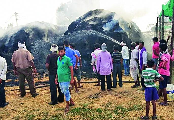 The fire engulfs 800 bonds | आगीत ८०० बंध तणस खाक The fire engulfs 800 bonds | आगीत ८०० बंध तणस खाक