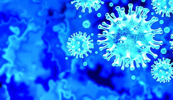 After two months, the death toll in the district has gone up | दाेन महिन्यानंतर जिल्ह्यात काेराेना मृत्युसंख्या निरंक After two months, the death toll in the district has gone up | दाेन महिन्यानंतर जिल्ह्यात काेराेना मृत्युसंख्या निरंक