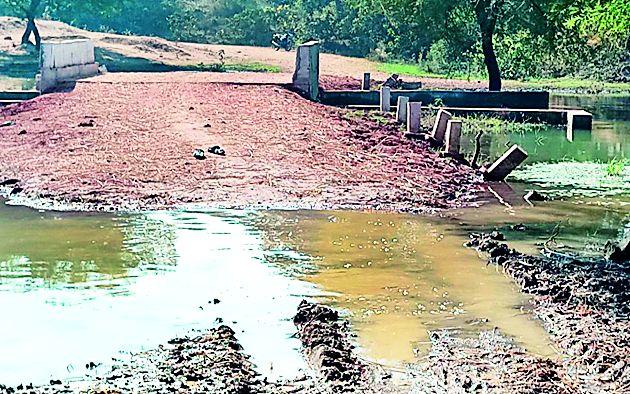 Shirley Wainganga water in Pipri | पिपरीत शिरले वैनगंगेचे पाणी