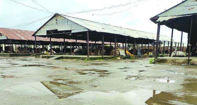 Turnover of Rs 6 crore stalled in market committees | बाजार समित्यांमधील सहा कोटींची उलाढाल ठप्प