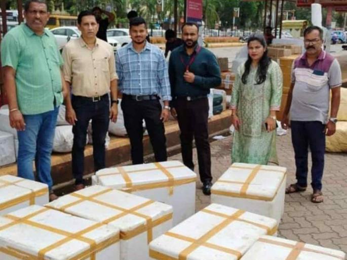 Paneer confiscated in raids by Food and Drug Administration  | अन्न आणि औषधी प्रशासनाकडून छापा मारून पनीर जप्त  Paneer confiscated in raids by Food and Drug Administration  | अन्न आणि औषधी प्रशासनाकडून छापा मारून पनीर जप्त