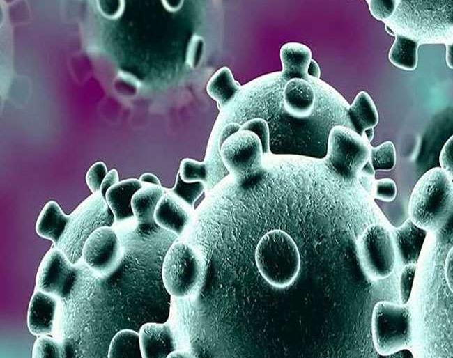 412 patients in the district overcame coli | जिल्ह्यात ४१२ रुग्णांनी केली कोरोनावर मात 412 patients in the district overcame coli | जिल्ह्यात ४१२ रुग्णांनी केली कोरोनावर मात