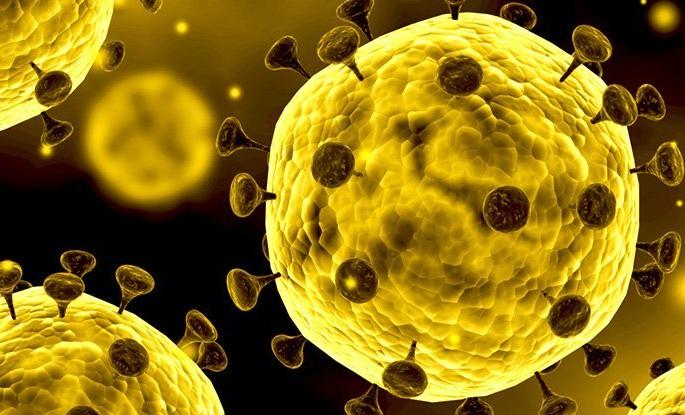 Eczema of corona again in Nagar district, infection of corona in twelve more people | नगर जिल्ह्याला पुन्हा कोरोनाचे ग्रहण, आणखी बारा जणांना कोरोनाची लागण