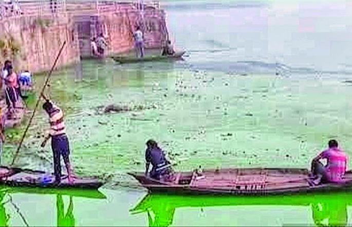 Fish endangered by water pollution in Ramala Lake | रामाळा तलावातील जलप्रदूषणाने मासे धोक्यात Fish endangered by water pollution in Ramala Lake | रामाळा तलावातील जलप्रदूषणाने मासे धोक्यात