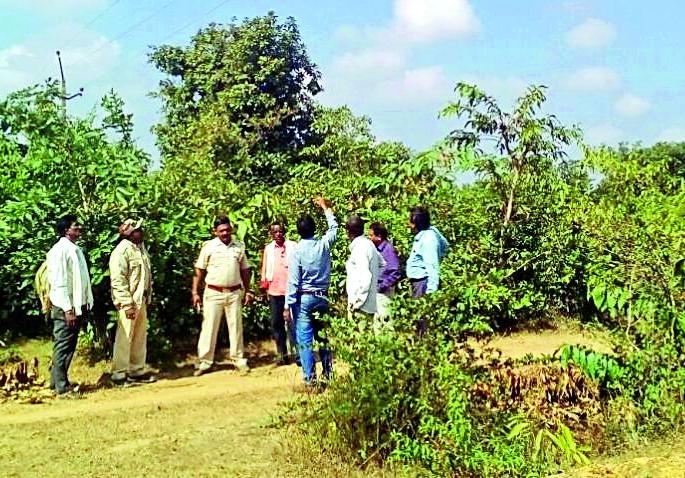 MSEDCL Gastiant for Tiger conservation | व्याघ्र संवर्धनासाठी महावितरणचे अधिकारी गस्तीवर MSEDCL Gastiant for Tiger conservation | व्याघ्र संवर्धनासाठी महावितरणचे अधिकारी गस्तीवर