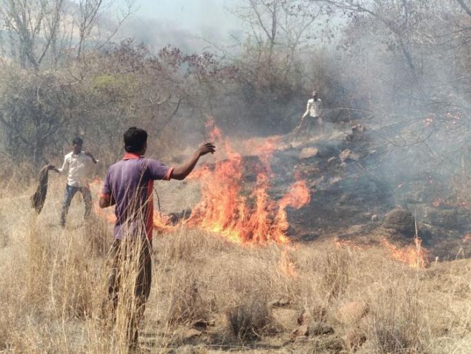 Dizziness in the wild in the wild day forest | वनदिनी लामकानी वनक्षेत्रात पेटला भीषण वणवा Dizziness in the wild in the wild day forest | वनदिनी लामकानी वनक्षेत्रात पेटला भीषण वणवा