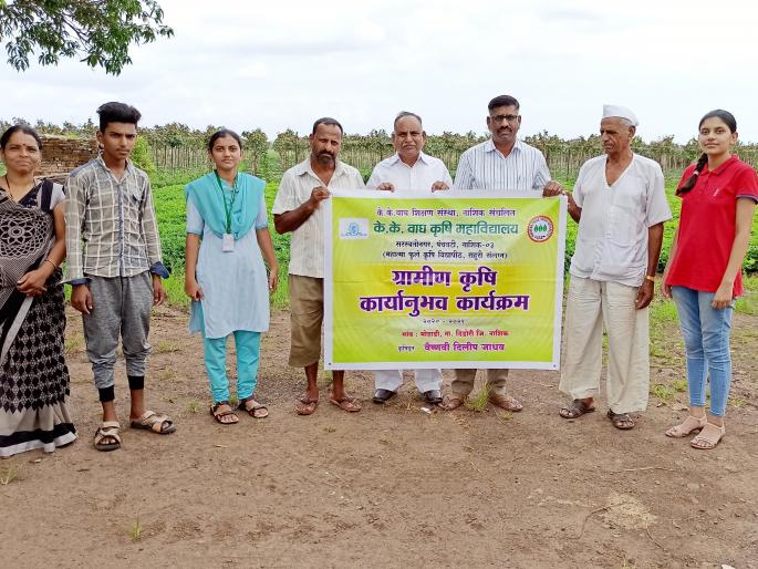 Farmers should avoid excessive use of chemicals | शेतकऱ्यांनी अति रासायनिक औषधांचा वापर टाळावा Farmers should avoid excessive use of chemicals | शेतकऱ्यांनी अति रासायनिक औषधांचा वापर टाळावा