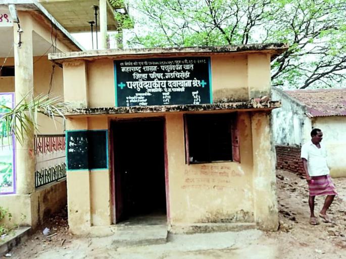 Veterinary services skeletons due to vacancies | रिक्त पदांमुळे पशुवैद्यकीय सेवा अस्थिपंजर
