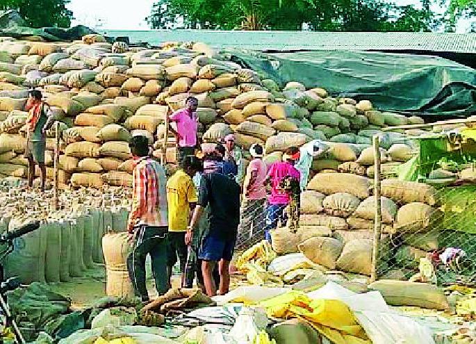 Paddy procurement started in Dhanora and Murumgaon | धानोरा व मुरूमगावात धान खरेदी सुरू Paddy procurement started in Dhanora and Murumgaon | धानोरा व मुरूमगावात धान खरेदी सुरू