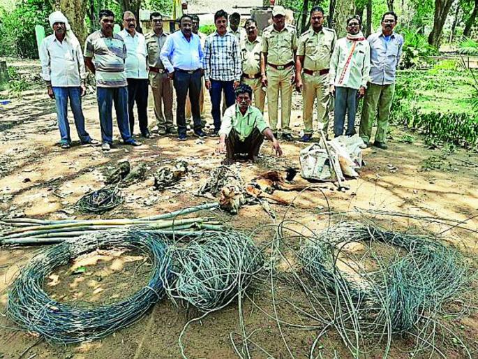 16 people arrested in Kasari murder case for randukar | रानडुकरांच्या शिकारप्रकरणी कसारीतील १६ जणांना अटक 16 people arrested in Kasari murder case for randukar | रानडुकरांच्या शिकारप्रकरणी कसारीतील १६ जणांना अटक