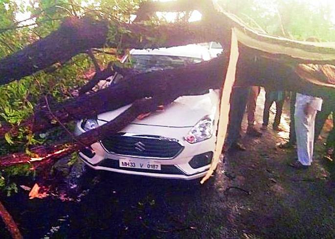 The tree collapses on the running car | धावत्या कारवर झाड कोसळले The tree collapses on the running car | धावत्या कारवर झाड कोसळले