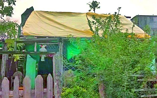 Forest workers living in the head after the storm | वादळानंतर डोक्यावर मरण घेऊन राहताहेत वन कर्मचारी Forest workers living in the head after the storm | वादळानंतर डोक्यावर मरण घेऊन राहताहेत वन कर्मचारी