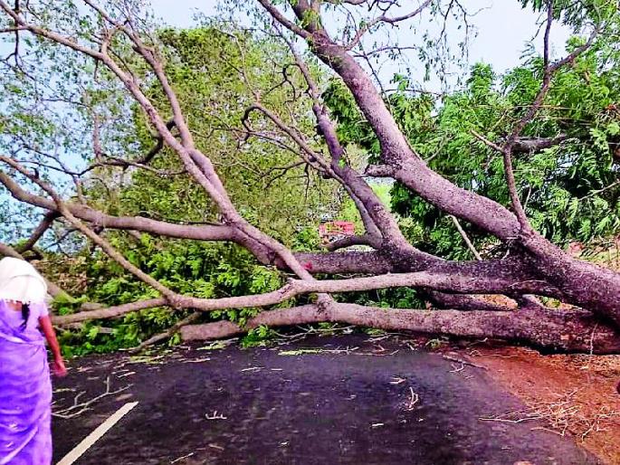 The storm hits again | अवकाळी वादळाचा पुन्हा तडाखा The storm hits again | अवकाळी वादळाचा पुन्हा तडाखा
