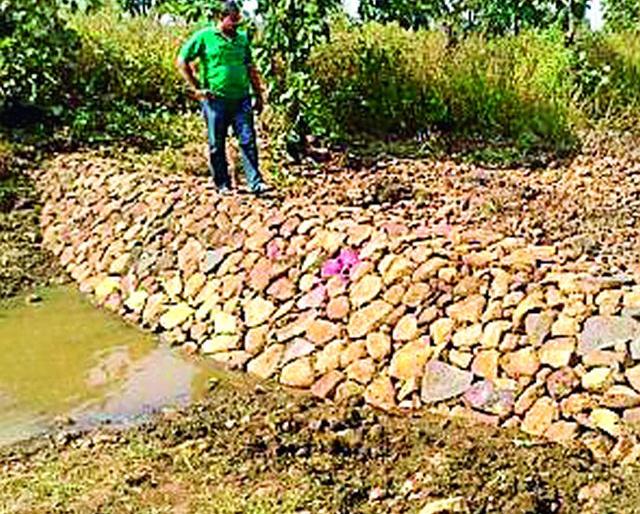 The expenditure of three crore for wildlife conservation during the year | वन्य जीवांच्या तृष्णातृप्तीसाठी वर्षभरात तीन कोटी खर्च The expenditure of three crore for wildlife conservation during the year | वन्य जीवांच्या तृष्णातृप्तीसाठी वर्षभरात तीन कोटी खर्च