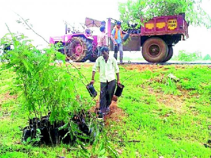Eventually planting the tree from the machinery | अखेर यंत्रणेकडून वृक्ष लागवड Eventually planting the tree from the machinery | अखेर यंत्रणेकडून वृक्ष लागवड