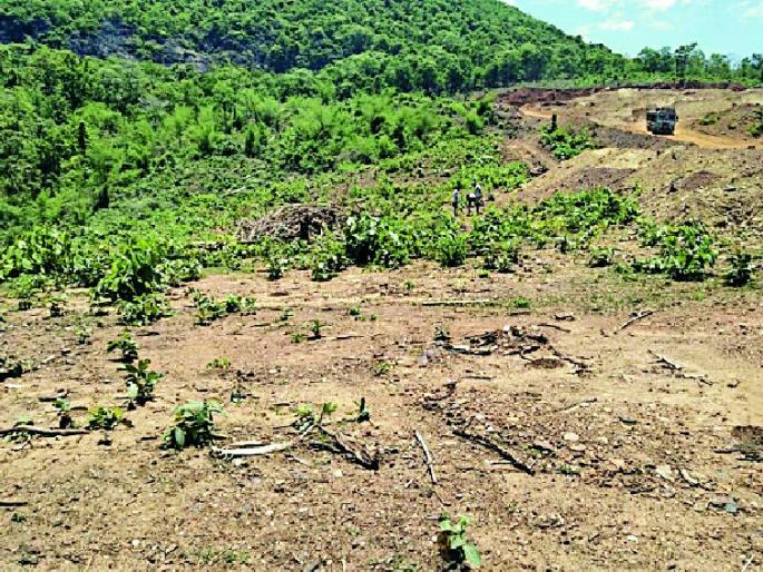 The department of forest department led to the failure of the iron ore project | वनविभागाच्या दफ्तरदिरंगाईने लोहखनिज प्रकल्प अडचणीत