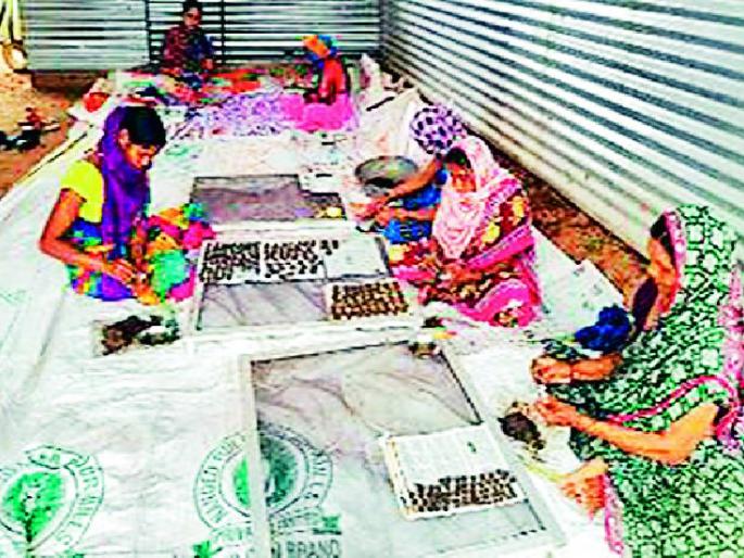 Demand for Chutia Rakhi across the state | चुटियाच्या राखीला राज्यभरात मागणी