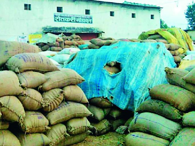 Hundreds of quintal rains open due to barbecine | बारदाण्याअभावी शेकडो क्विंटल धान उघड्यावर Hundreds of quintal rains open due to barbecine | बारदाण्याअभावी शेकडो क्विंटल धान उघड्यावर