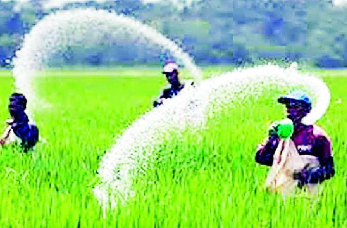 Urea perpetuates farmers' woes | युरियामुळे शेतकऱ्यांची कोंडी कायम