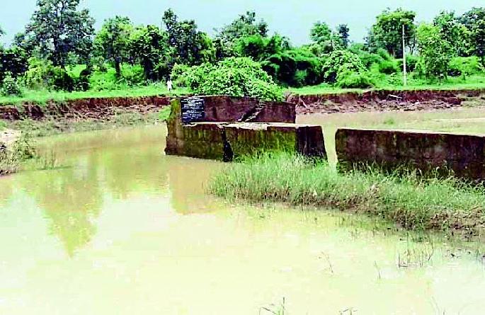 A bundle is a result of the harvest | बंधारा फुटल्यामुळे पीक गेले वाहून A bundle is a result of the harvest | बंधारा फुटल्यामुळे पीक गेले वाहून