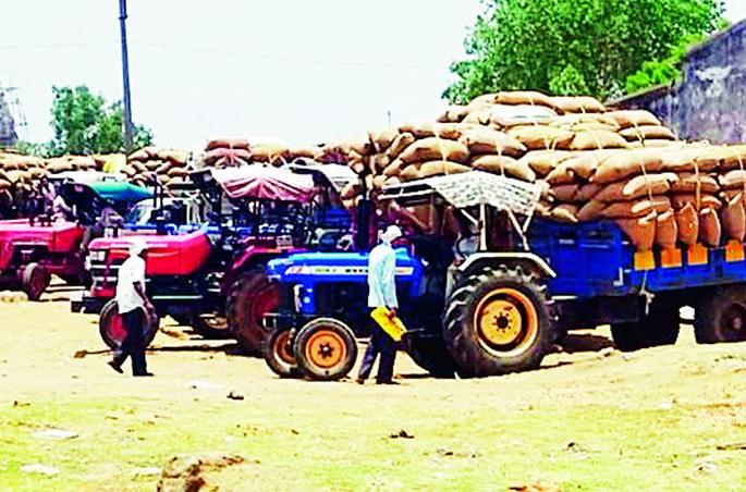 Sale of grain at Rs. 1200 per quintal | धानाची 1200 रुपये क्विंटलने विक्री Sale of grain at Rs. 1200 per quintal | धानाची 1200 रुपये क्विंटलने विक्री