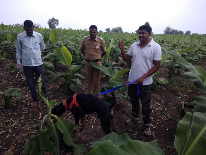 The country broke the liquor shop | देशी दारूचे दुकान फोडले
