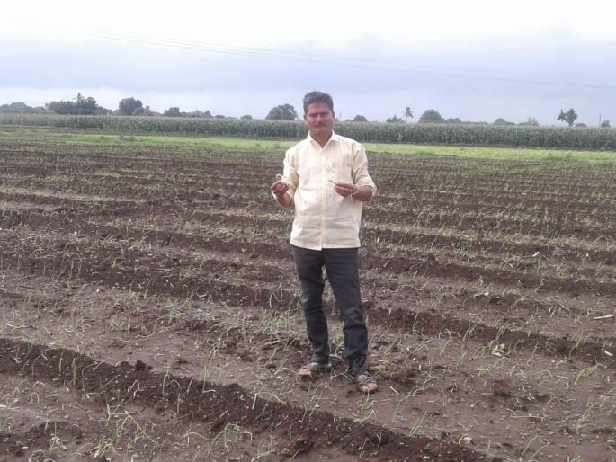 Onion cultivation destroyed in Yeola taluka | येवला तालुक्यात पोळ कांदा लागवड उदध्वस्त Onion cultivation destroyed in Yeola taluka | येवला तालुक्यात पोळ कांदा लागवड उदध्वस्त