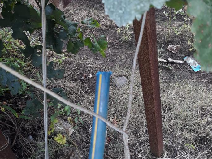 Put an artificial crisis on the peasantry | शेतकरी वर्गावर कृत्रिम संकटाचा घाला Put an artificial crisis on the peasantry | शेतकरी वर्गावर कृत्रिम संकटाचा घाला