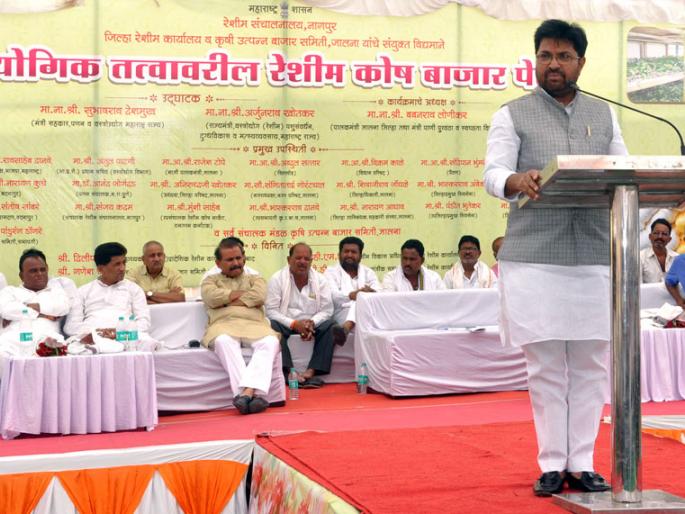 Rich profits in silk production | रेशीम उत्पादनात भरघोस नफा Rich profits in silk production | रेशीम उत्पादनात भरघोस नफा