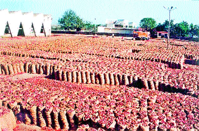 Affordability of onion growers | कांदा उत्पादकांची परवड Affordability of onion growers | कांदा उत्पादकांची परवड