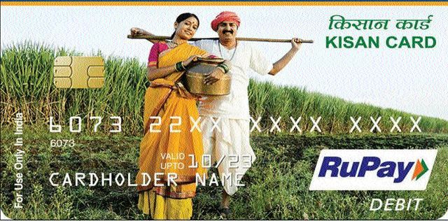 Farmers credit card coverage up to Animal Husbandry | किसान क्रेडिट कार्डाची व्याप्ती पशुसंवर्धनापर्यंत