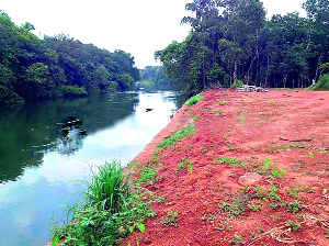 Pavadenone Hectare Hectare | पावणेदोन लाख हेक्टरची धूप Pavadenone Hectare Hectare | पावणेदोन लाख हेक्टरची धूप