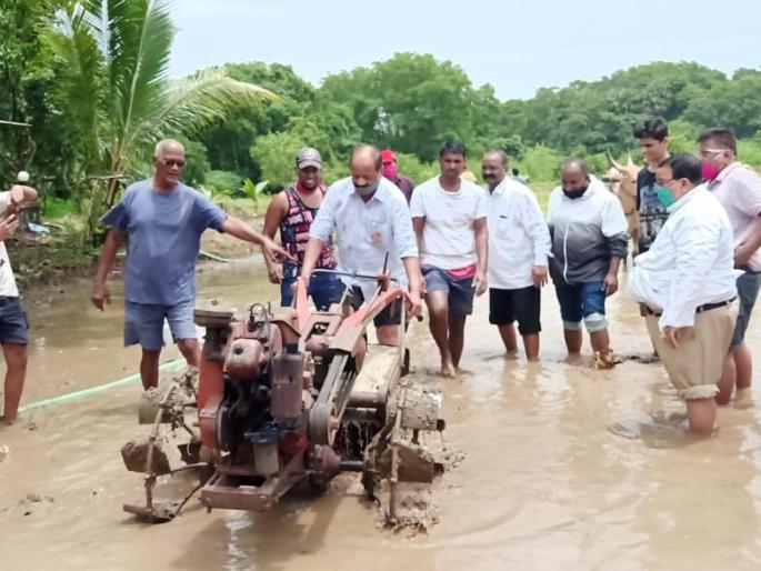 In the lockdown, the citizens of Gorai village turned to agriculture | लॉकडाऊन मध्ये गोराई गावातील नागरिक वळले शेतीकडे In the lockdown, the citizens of Gorai village turned to agriculture | लॉकडाऊन मध्ये गोराई गावातील नागरिक वळले शेतीकडे
