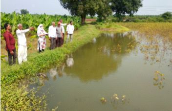 Finally, the panchnama of 'that' field started | अखेर ‘त्या’ शेतातील पंचनामा सुरू Finally, the panchnama of 'that' field started | अखेर ‘त्या’ शेतातील पंचनामा सुरू