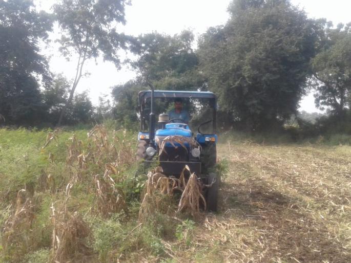 Mortgage to Mangalsutra Banks for rabi capital | रब्बीच्या भांडवलासाठी कारभारणीचे मंगळसूत्र बँकांकडे गहाण Mortgage to Mangalsutra Banks for rabi capital | रब्बीच्या भांडवलासाठी कारभारणीचे मंगळसूत्र बँकांकडे गहाण