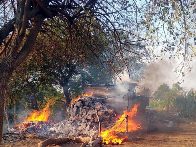 Parbhani: A fire broke out in Pingali, killing four thousand khadas | परभणी : पिंगळी येथे लागलेल्या आगीत चार हजार कडबा जळून खाक Parbhani: A fire broke out in Pingali, killing four thousand khadas | परभणी : पिंगळी येथे लागलेल्या आगीत चार हजार कडबा जळून खाक