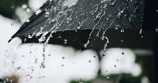 Presence of deer rain in Nihale Fatehpur area | निºहाळे फत्तेपूर परिसरात मृगाच्या पावसाची हजेरी Presence of deer rain in Nihale Fatehpur area | निºहाळे फत्तेपूर परिसरात मृगाच्या पावसाची हजेरी