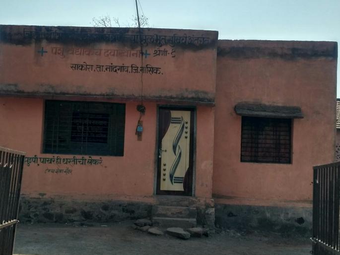 Doctor in-patient Veterinary Disasters Disrupted | डॉक्टरअभावी पशुवैद्यकीय दवाखाने मोडकळीस Doctor in-patient Veterinary Disasters Disrupted | डॉक्टरअभावी पशुवैद्यकीय दवाखाने मोडकळीस