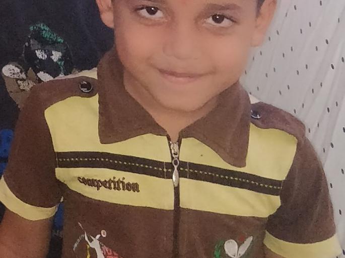 Sangli's snakebath killed the child, slept bite | सांगलीत सर्पदंशाने बालकाचा मृत्यू, झोपेतच दंश : सापास पकडून मारले Sangli's snakebath killed the child, slept bite | सांगलीत सर्पदंशाने बालकाचा मृत्यू, झोपेतच दंश : सापास पकडून मारले