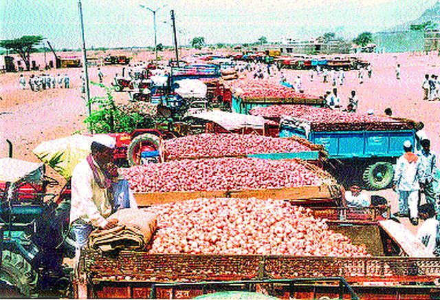 The arrival of twenty five thousand quintals of onions in Satna | सटाण्यात पंचवीस हजार क्विंटल कांद्याची आवक