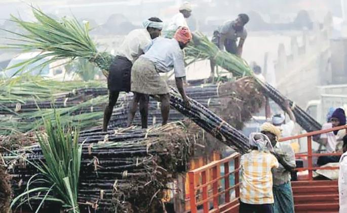 Shetty, Sadbhau's factory collaboration in the struggle for farmers' union | शेट्टी, सदाभाऊ यांच्या शेतकरी संघटनांच्या वर्चस्वाच्या संघर्षात कारखानदारीचे हाल Shetty, Sadbhau's factory collaboration in the struggle for farmers' union | शेट्टी, सदाभाऊ यांच्या शेतकरी संघटनांच्या वर्चस्वाच्या संघर्षात कारखानदारीचे हाल
