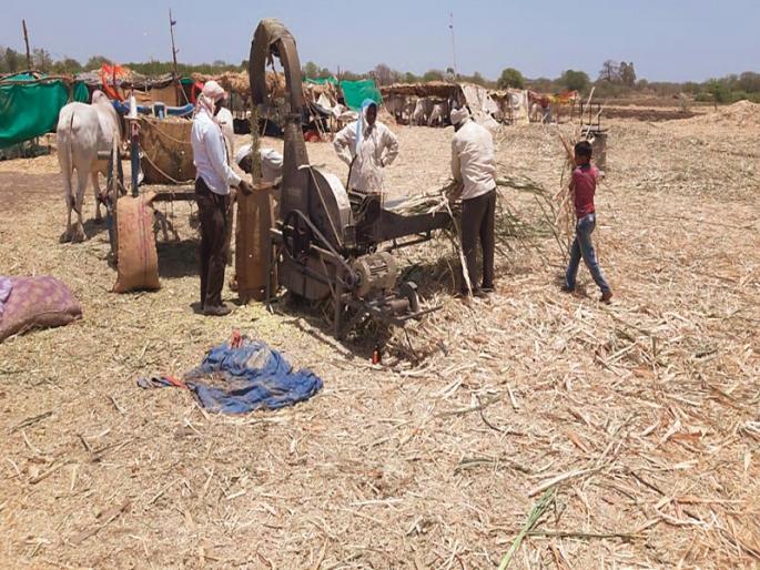 Ram Bharosse protects children in fodder camps | चारा छावण्यांमध्ये बालकांची सुरक्षा रामभरोसे