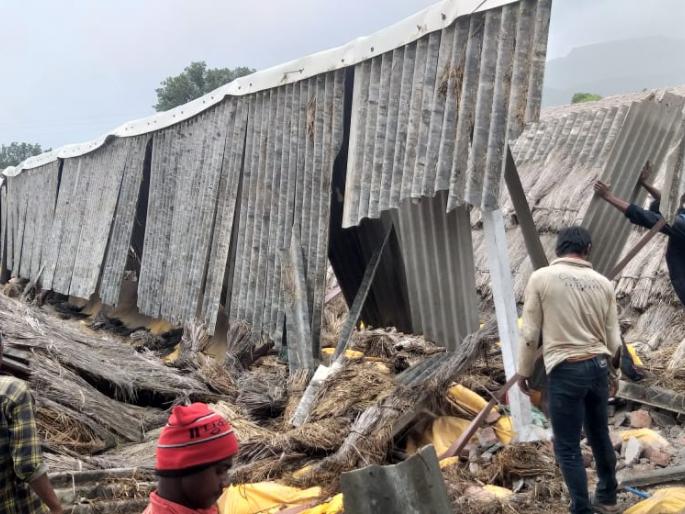The poultry shed collapsed due to strong winds | वादळी वाऱ्याने खेडला पोल्ट्री शेड कोसळले The poultry shed collapsed due to strong winds | वादळी वाऱ्याने खेडला पोल्ट्री शेड कोसळले