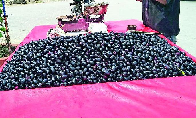 Junk health is the key to health | जांभुळ आरोग्यासाठी पोषकच