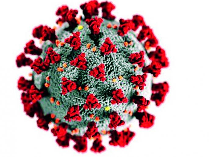 Outbreak of ‘viral’ with corona | कोरोनासह ‘व्हायरल’चा उद्रेक Outbreak of ‘viral’ with corona | कोरोनासह ‘व्हायरल’चा उद्रेक