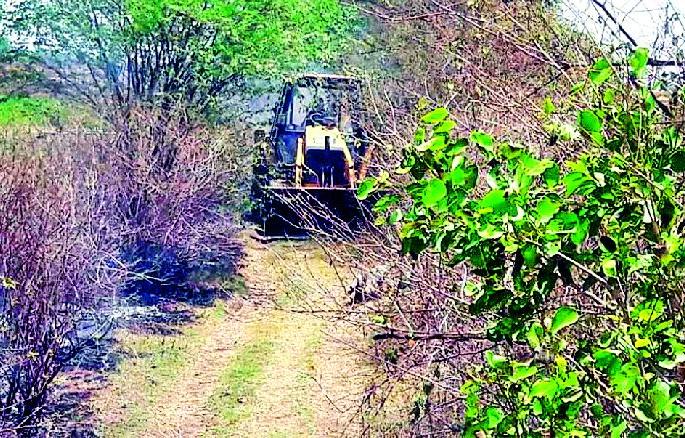 Cultivated farming due to paddy roads | पांदण रस्त्यांमुळे पडीत शेती लागवडीखाली Cultivated farming due to paddy roads | पांदण रस्त्यांमुळे पडीत शेती लागवडीखाली