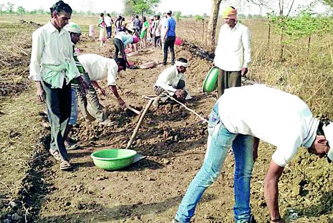 Water Cup Tournament in Isapuram | इसापुरात श्रमदानातून वॉटर कप स्पर्धेचा बिगुल Water Cup Tournament in Isapuram | इसापुरात श्रमदानातून वॉटर कप स्पर्धेचा बिगुल